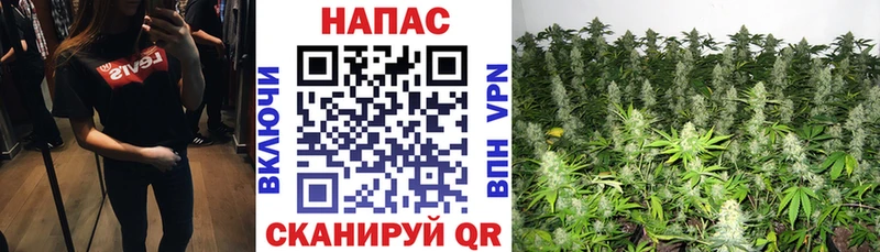 Продажа наркотиков Черняховск АМФЕТАМИН  Галлюциногенные грибы  Cocaine  Альфа ПВП  Меф  Гашиш  МАРИХУАНА 