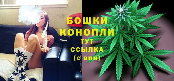 apvp Кострома