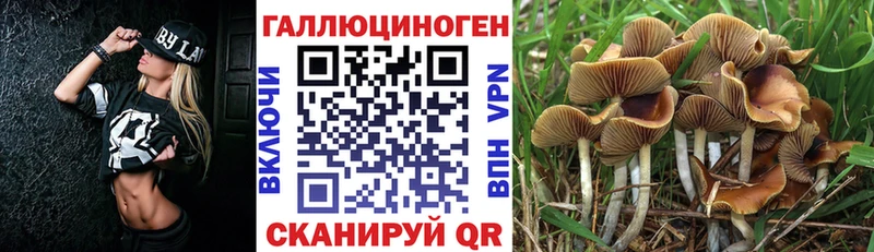 Псилоцибиновые грибы GOLDEN TEACHER  Черняховск 