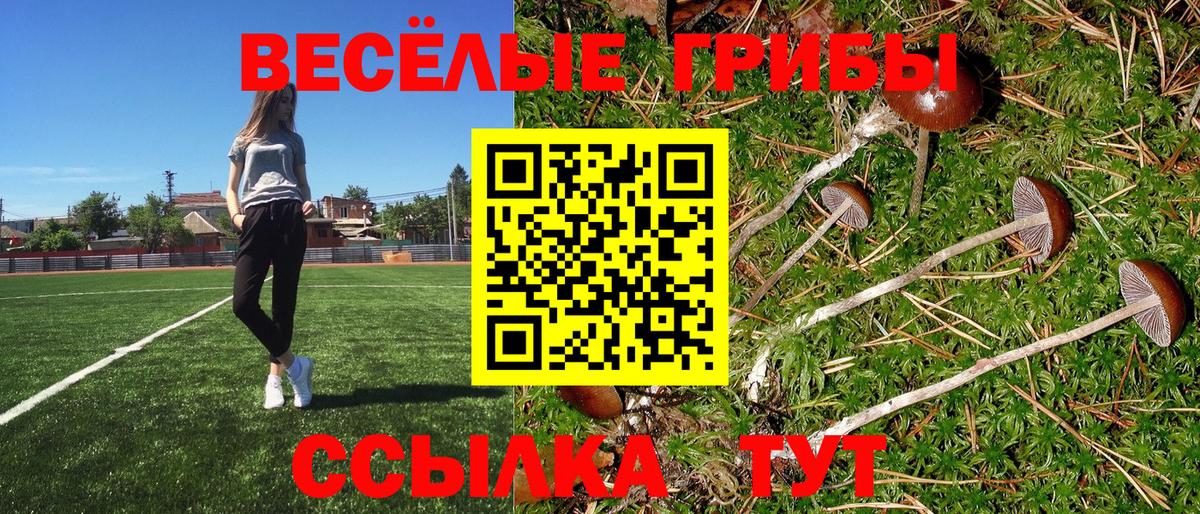 Псилоцибиновые грибы MAGIC MUSHROOMS Черняховск