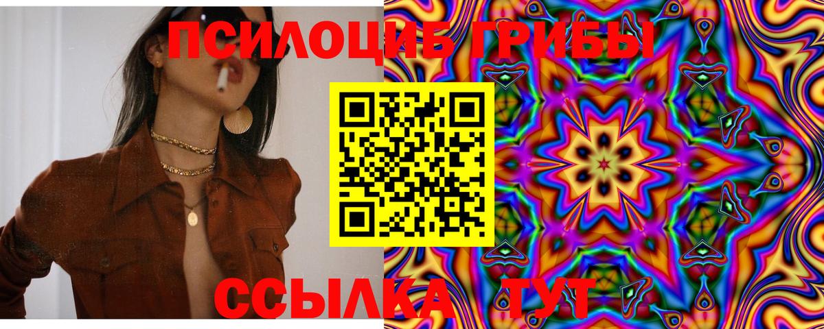 Галлюциногенные грибы Psilocybe  Галлюциногенные грибы Magic Shrooms  Черняховск 