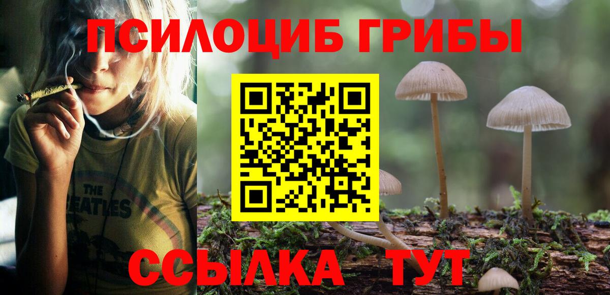 Галлюциногенные грибы мухоморы Черняховск