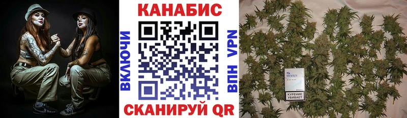 как найти Черняховск Марихуана MAZAR